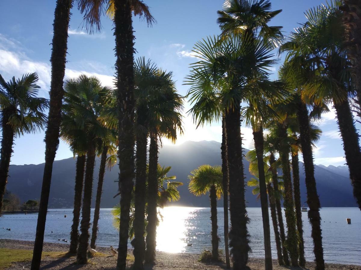 Appartamento Silvy Riva del Garda Buitenkant foto